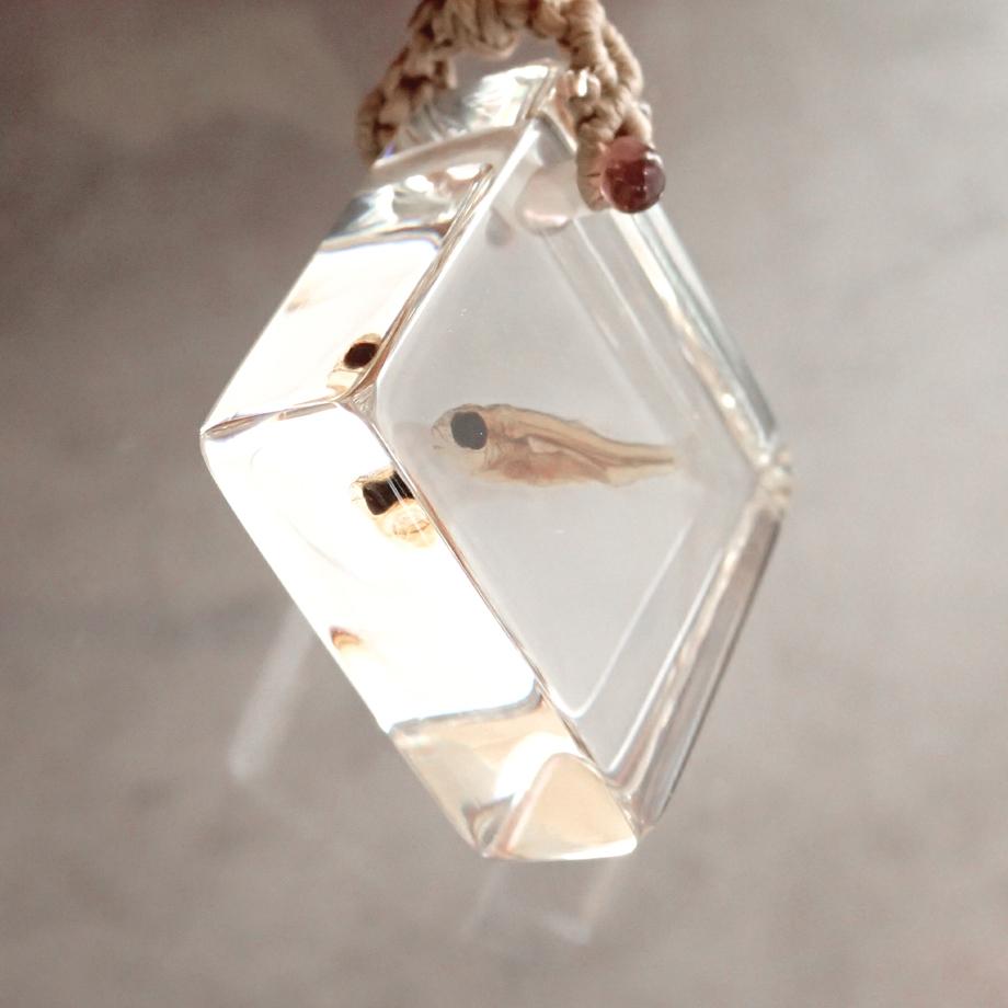 魚類樹脂封入標本ネックレス | 4枚目