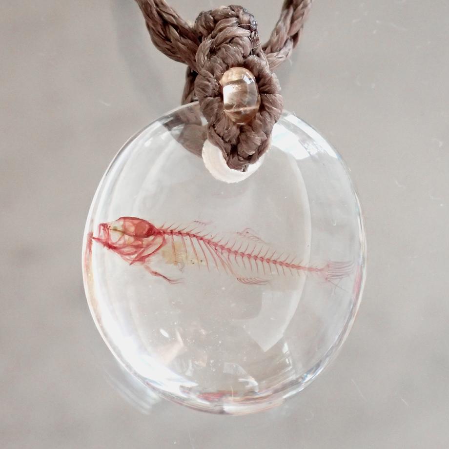 魚類単色染色樹脂封入標本ネックレス | 7枚目