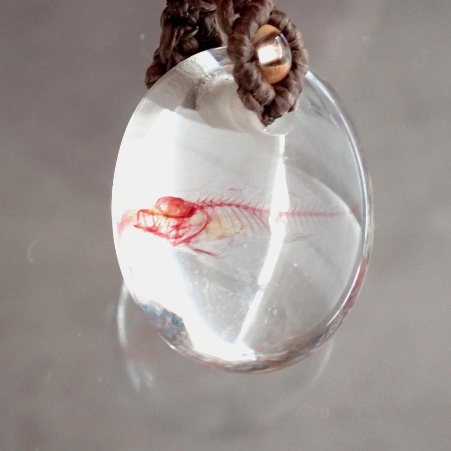 魚類単色染色樹脂封入標本ネックレス | 8枚目