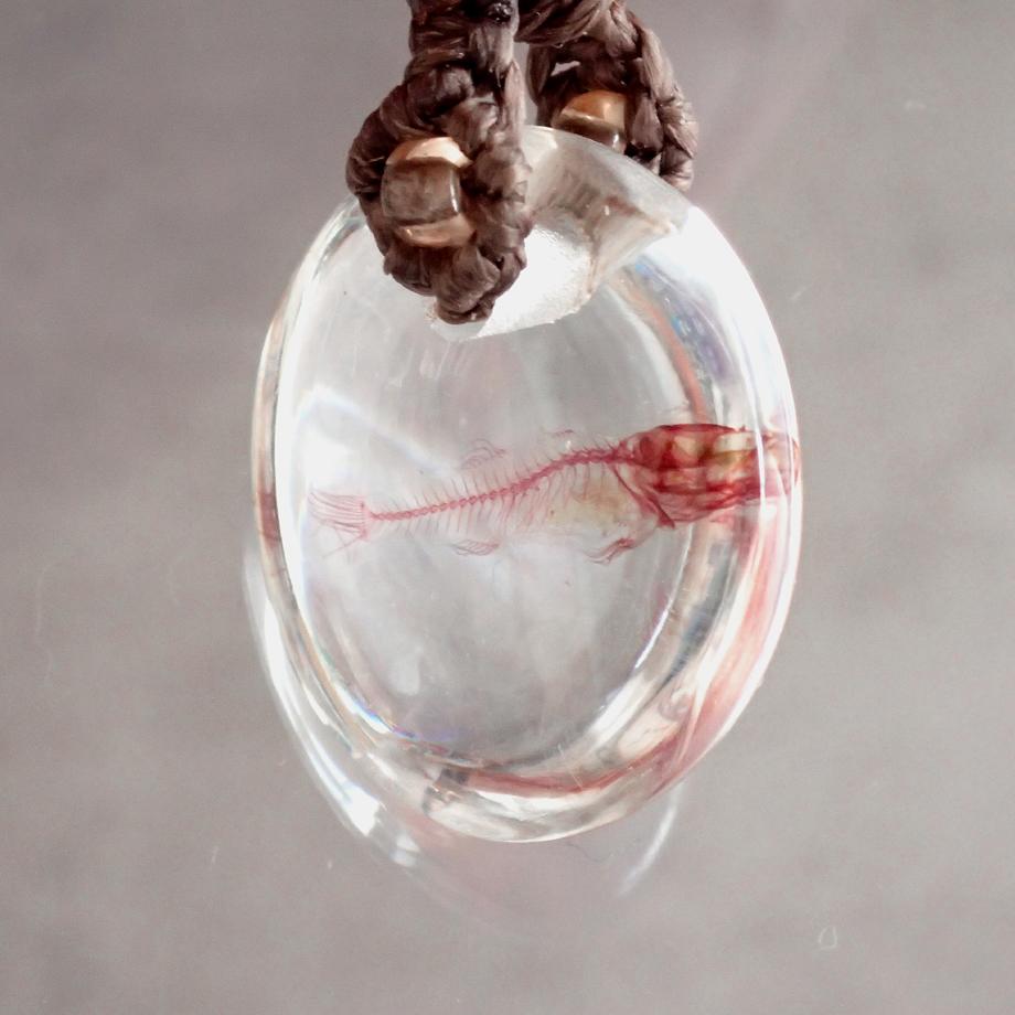 魚類単色染色樹脂封入標本ネックレス | 9枚目