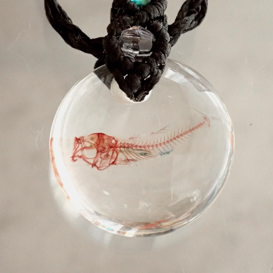 魚類単色染色樹脂封入標本ネックレス | 7枚目