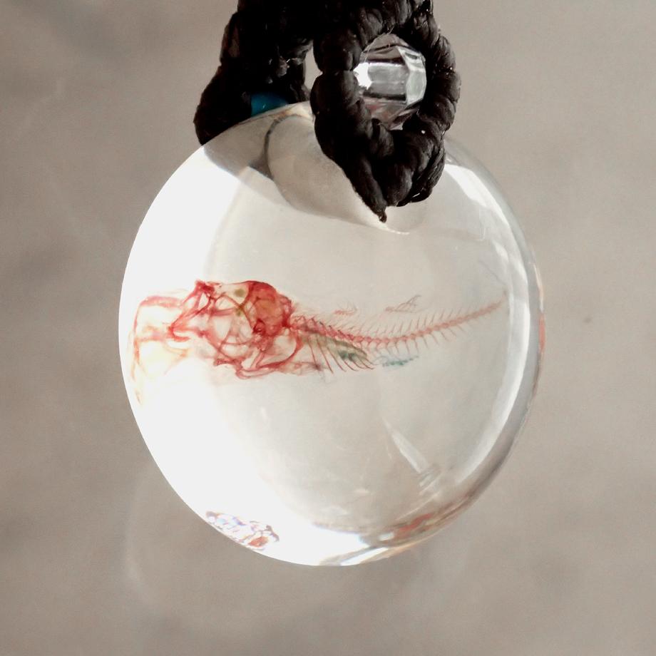 魚類単色染色樹脂封入標本ネックレス | 8枚目