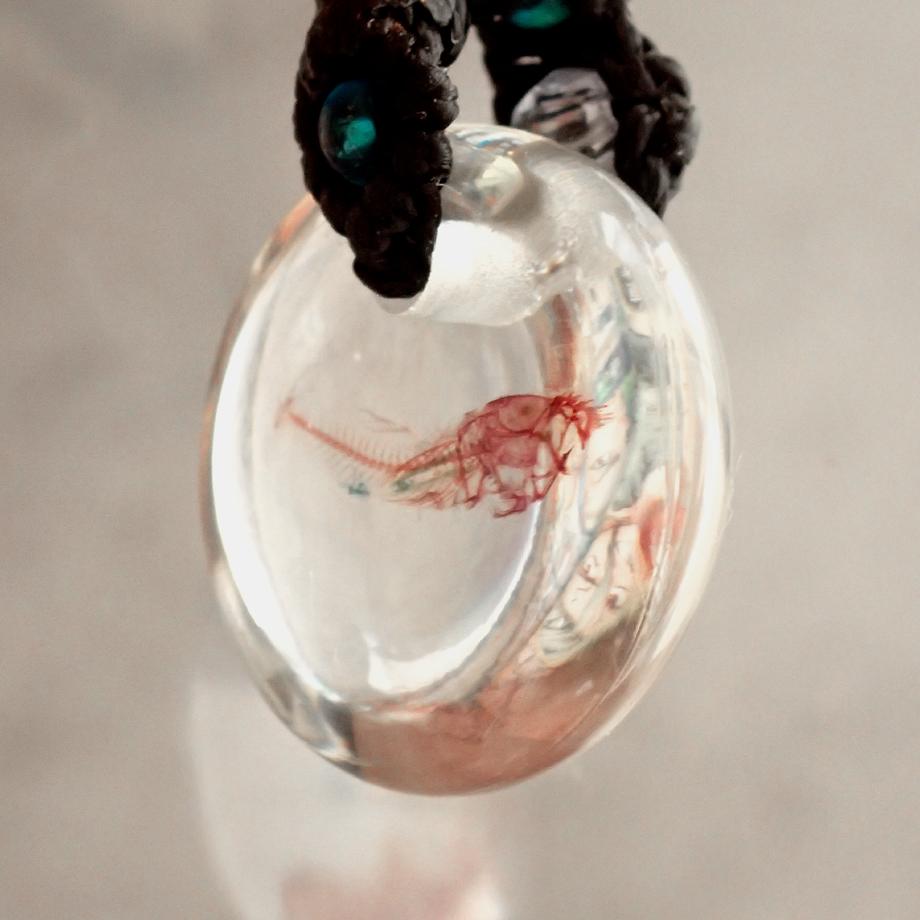 魚類単色染色樹脂封入標本ネックレス | 9枚目