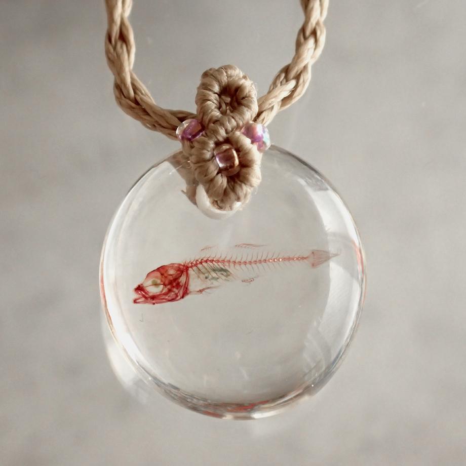 魚類単色染色樹脂封入標本ネックレス | 7枚目
