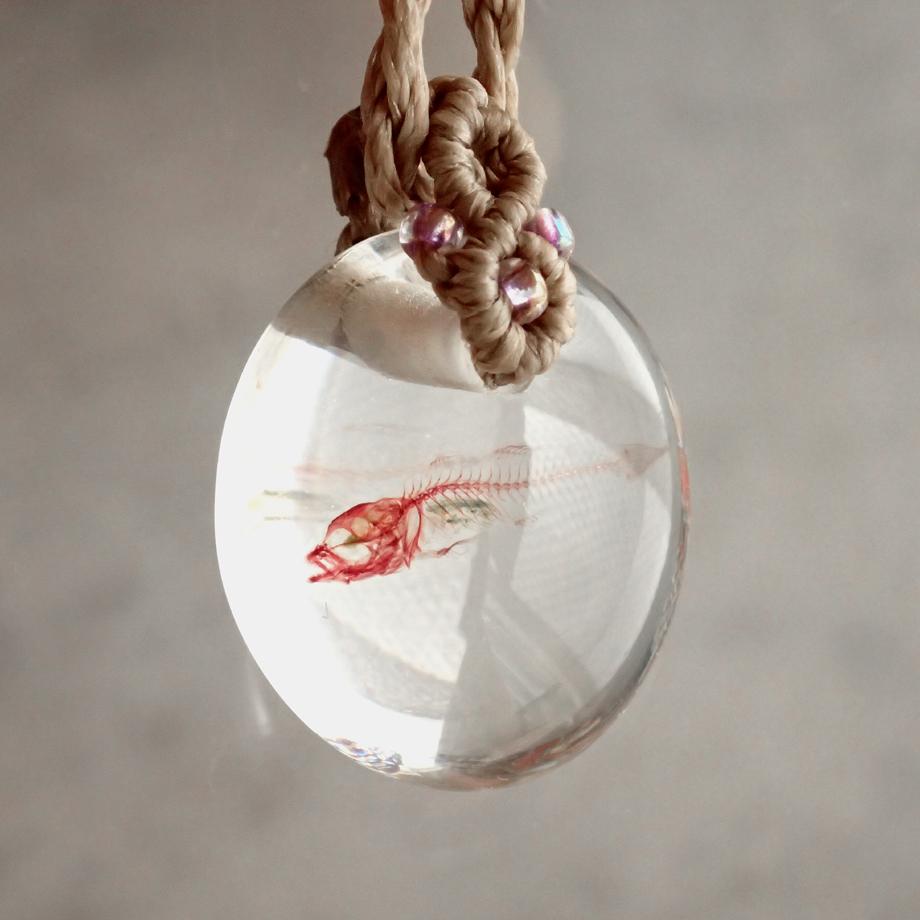 魚類単色染色樹脂封入標本ネックレス | 8枚目