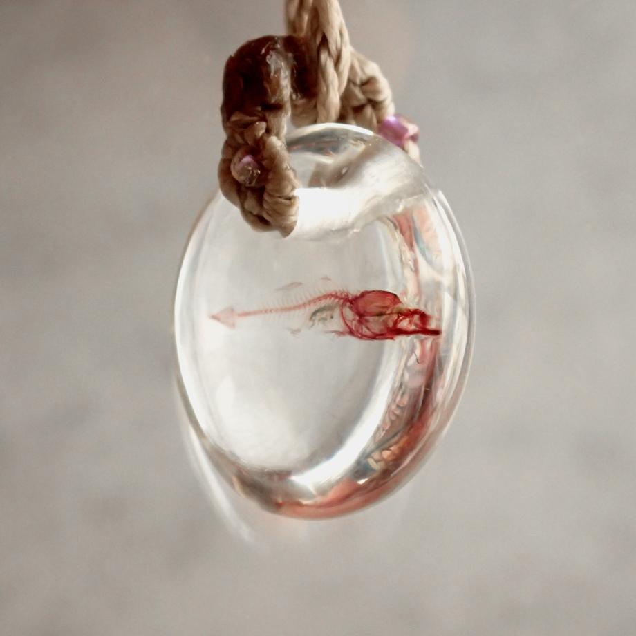 魚類単色染色樹脂封入標本ネックレス | 9枚目