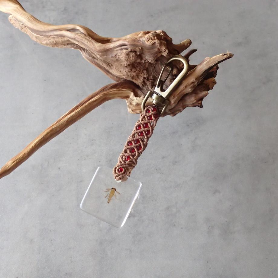 カゲロウ類樹脂封入標本キーホルダー | 5枚目