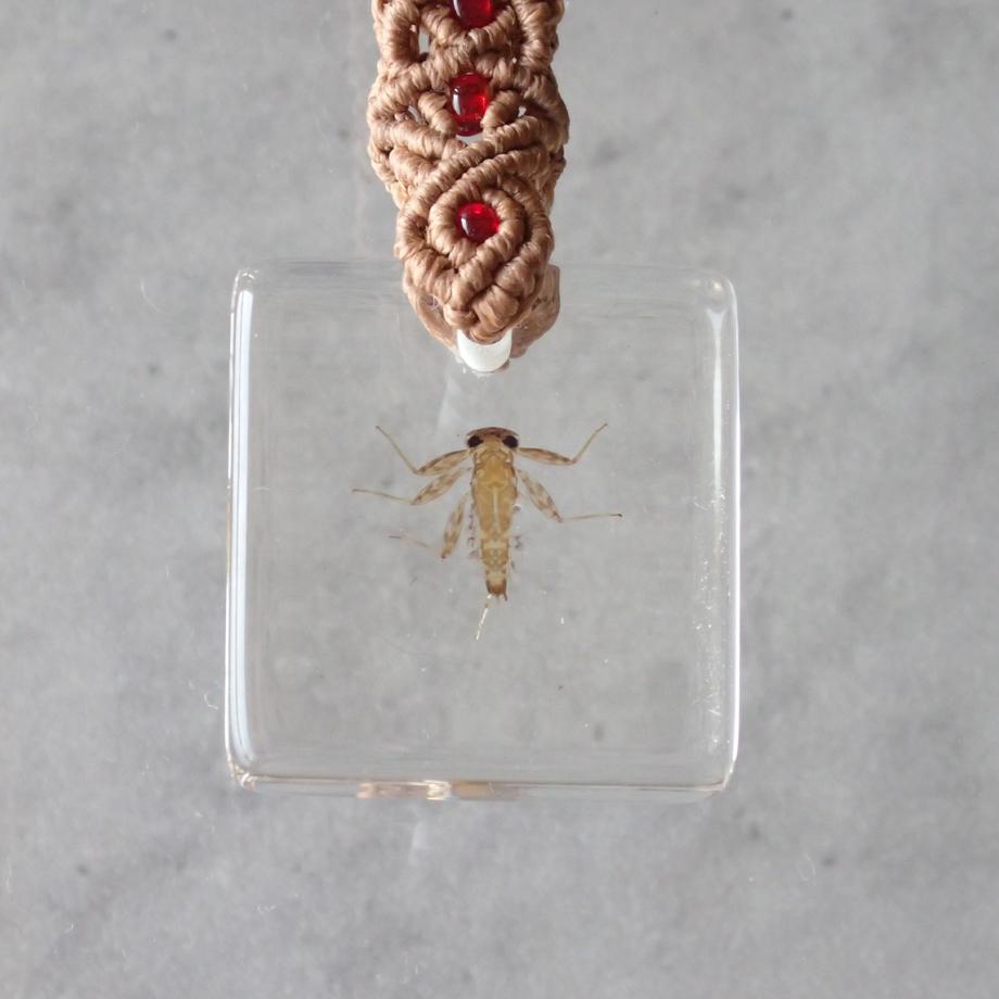 カゲロウ類樹脂封入標本キーホルダー | 6枚目