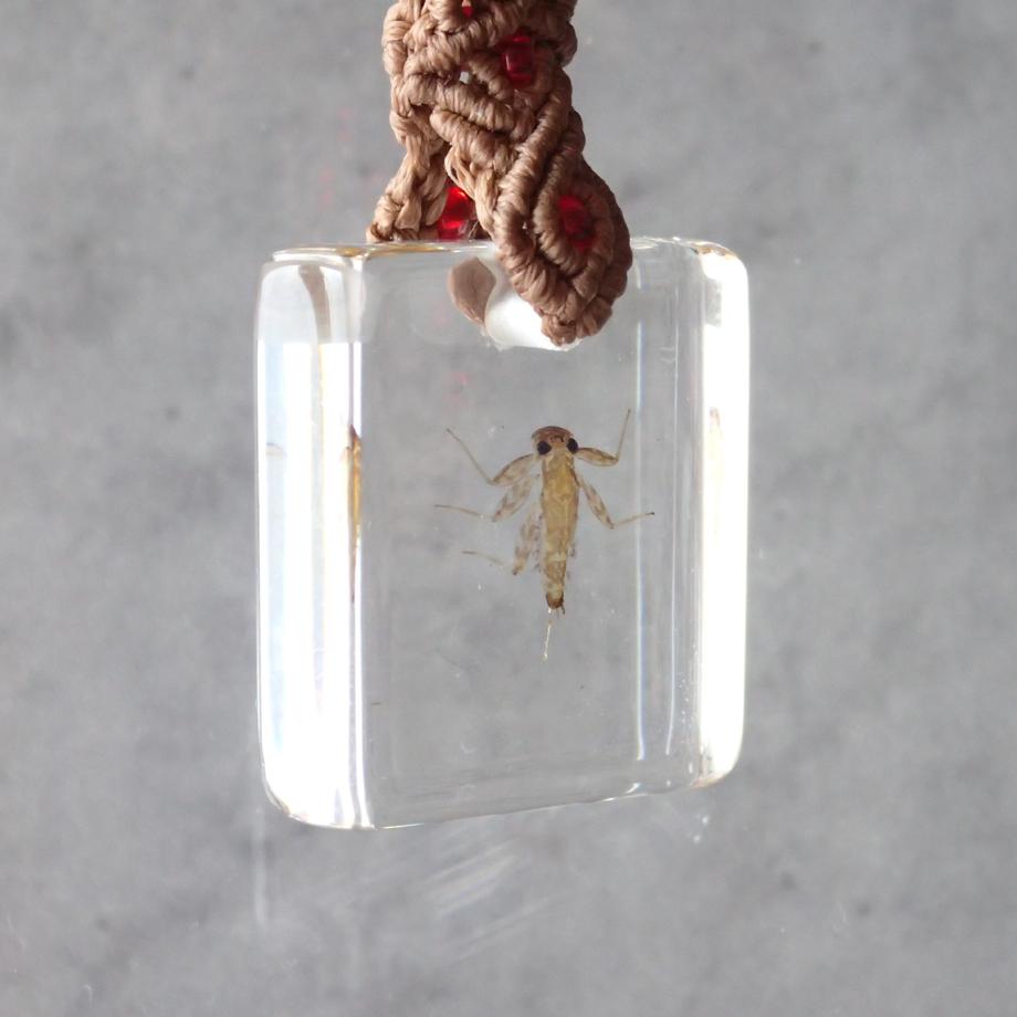 カゲロウ類樹脂封入標本キーホルダー | 7枚目