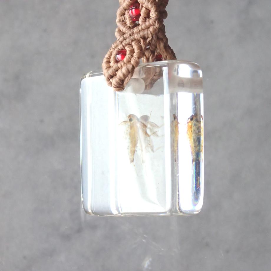 カゲロウ類樹脂封入標本キーホルダー | 8枚目