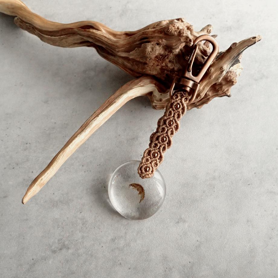 ヨコエビ類樹脂封入標本キーホルダー1枚目の画像