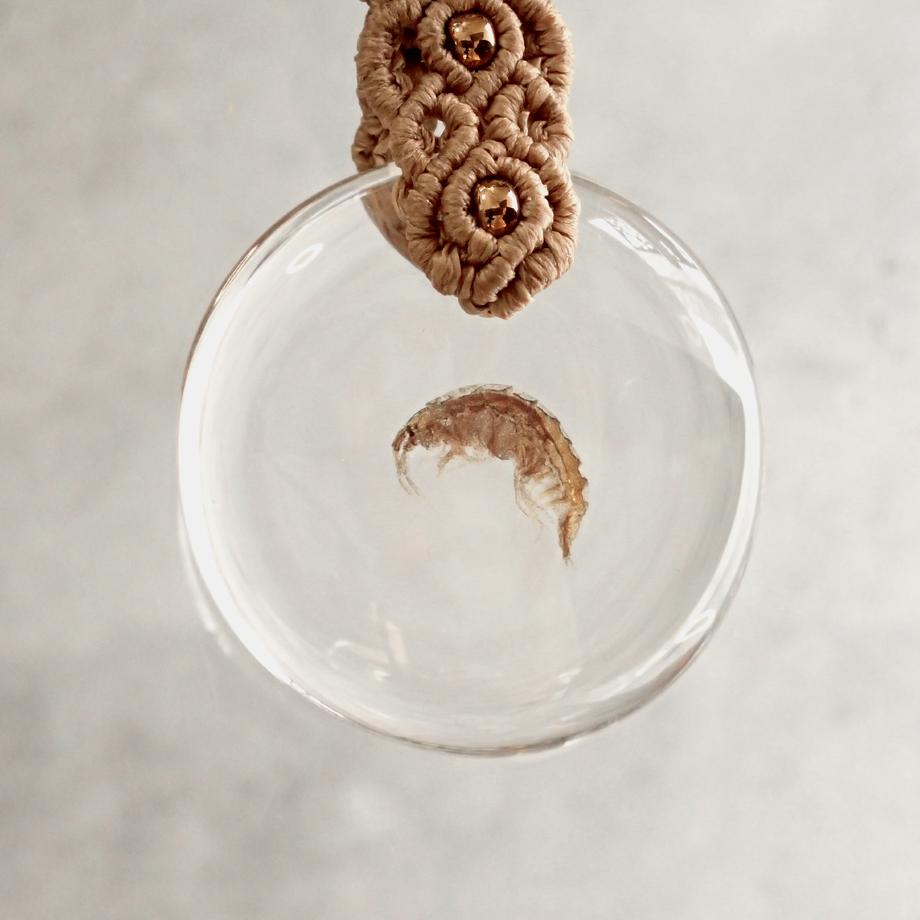 ヨコエビ類樹脂封入標本キーホルダー | 2枚目