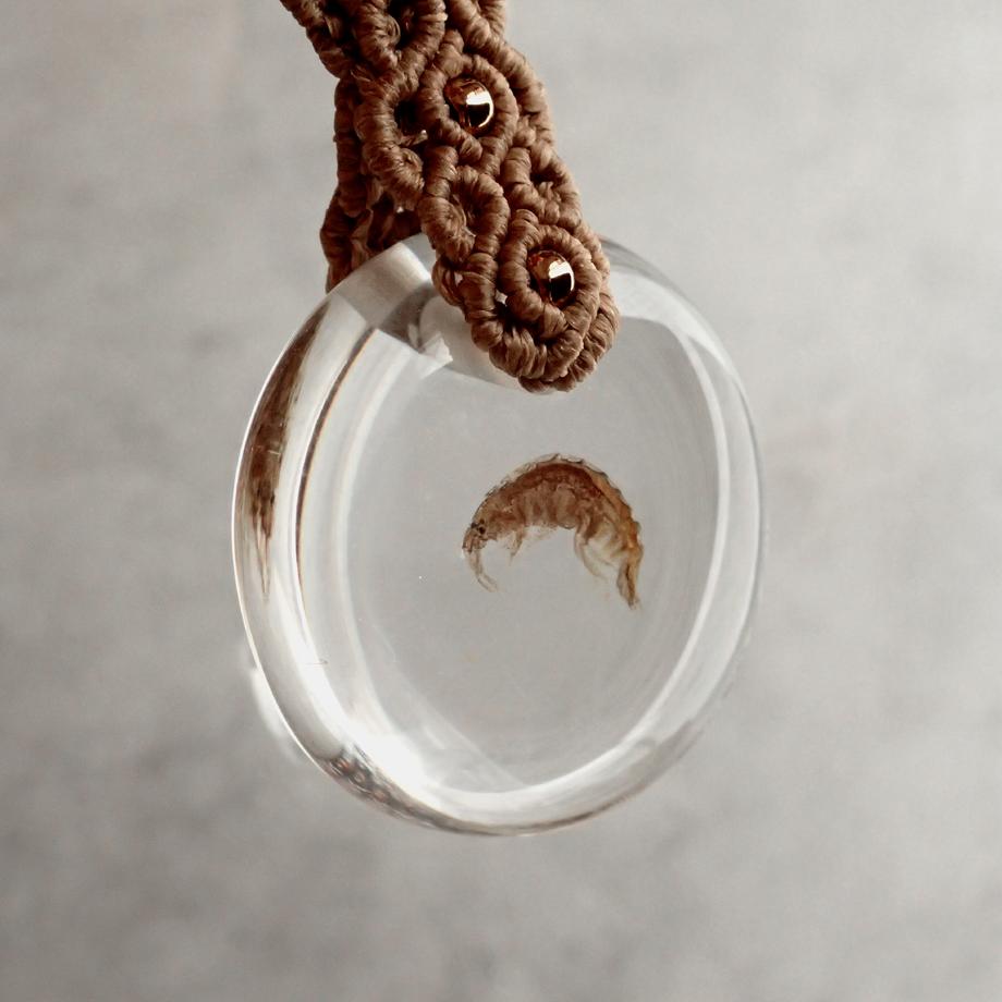 ヨコエビ類樹脂封入標本キーホルダー | 3枚目