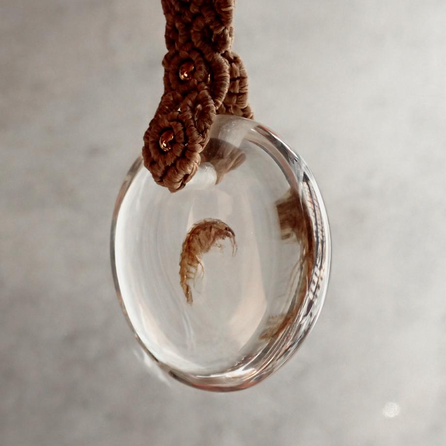 ヨコエビ類樹脂封入標本キーホルダー | 4枚目