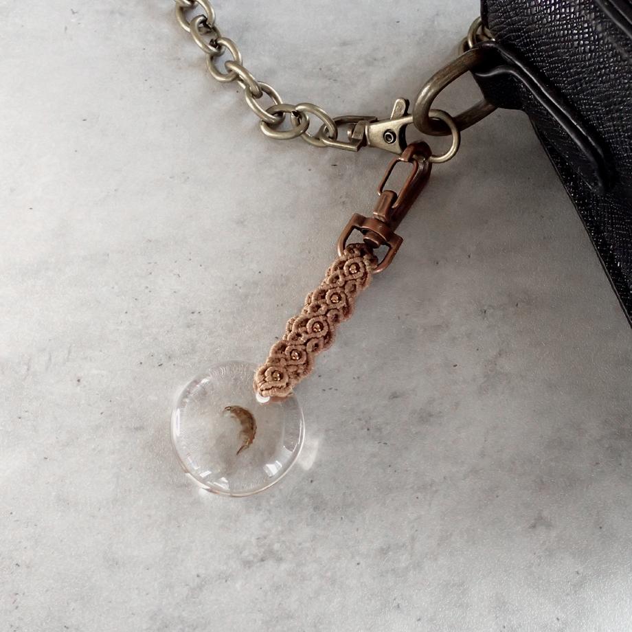 ヨコエビ類樹脂封入標本キーホルダー | 6枚目