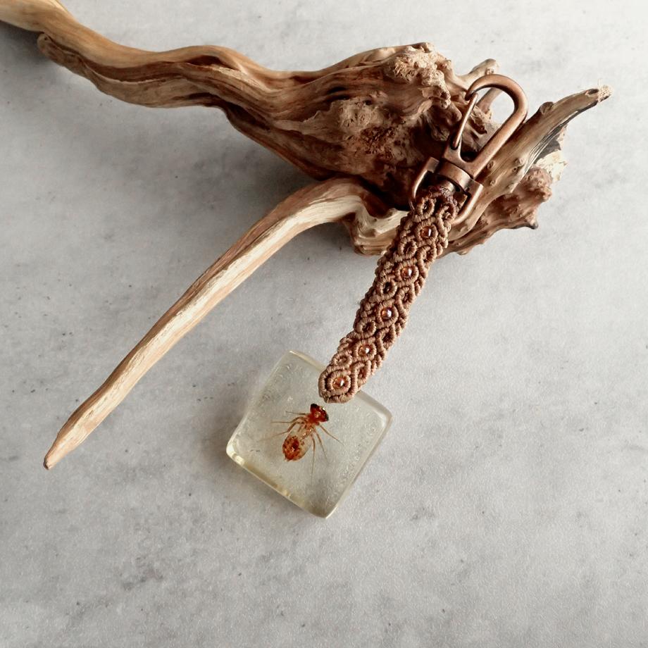 ヤゴ類樹脂封入標本キーホルダー1枚目の画像