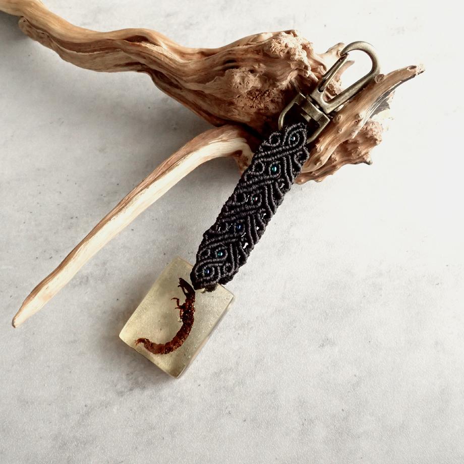 ヒゲナガガワトビケラ樹脂封入標本キーホルダー1枚目の画像