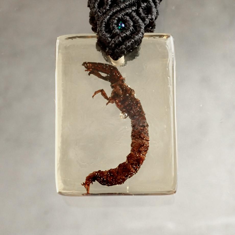 ヒゲナガガワトビケラ樹脂封入標本キーホルダー | 2枚目