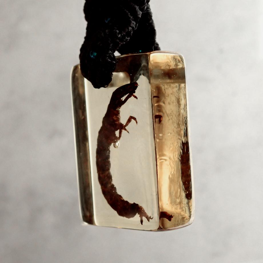 ヒゲナガガワトビケラ樹脂封入標本キーホルダー | 4枚目