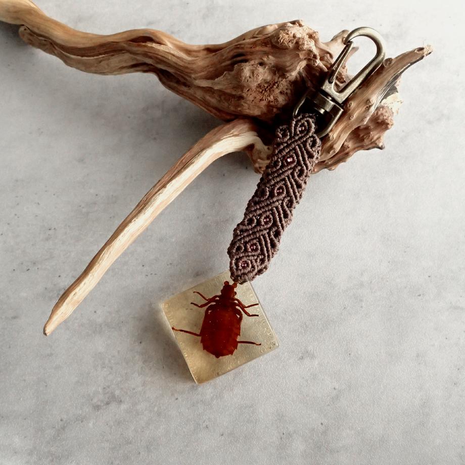 コオニヤンマ樹脂封入標本キーホルダー | 5枚目