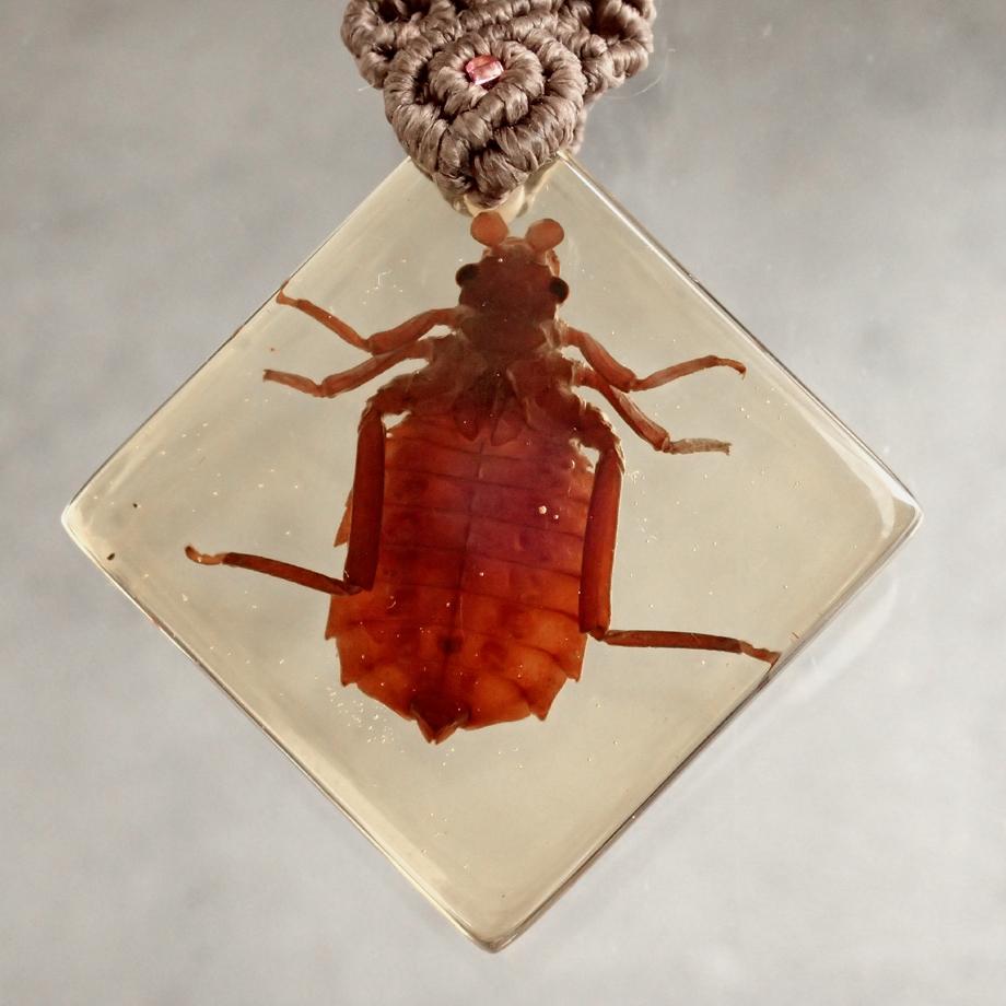 コオニヤンマ樹脂封入標本キーホルダー | 6枚目