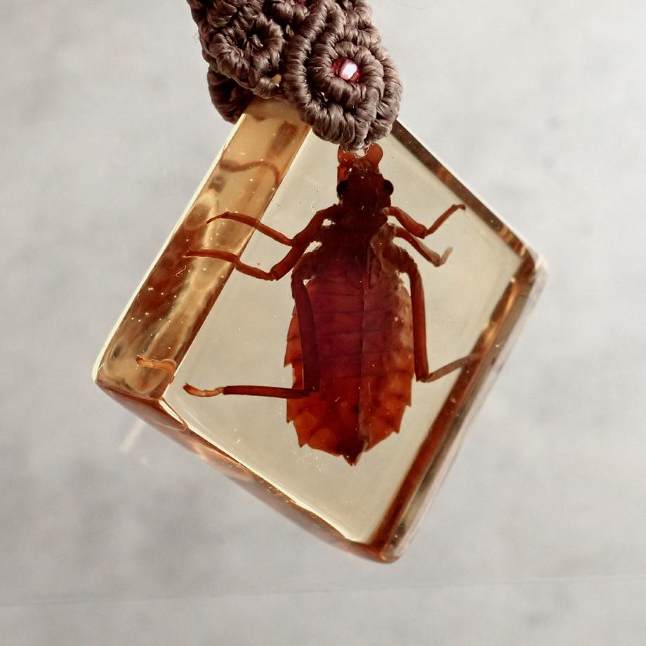 コオニヤンマ樹脂封入標本キーホルダー | 7枚目