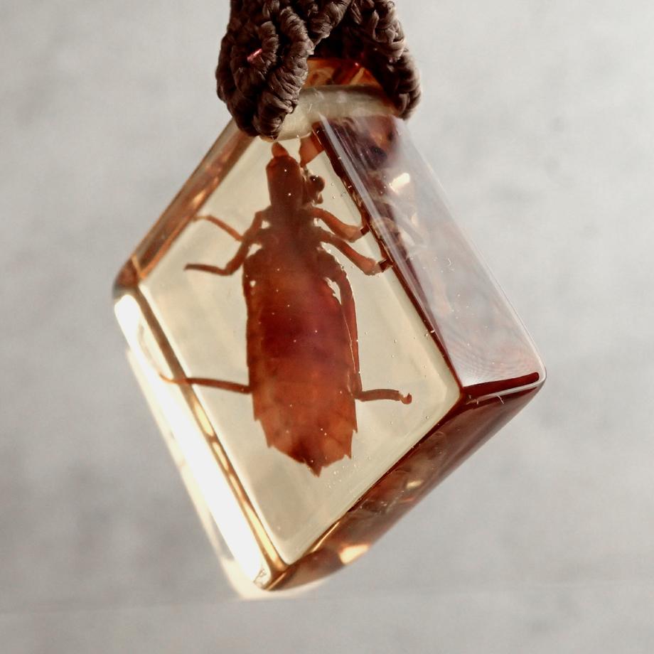 コオニヤンマ樹脂封入標本キーホルダー | 8枚目