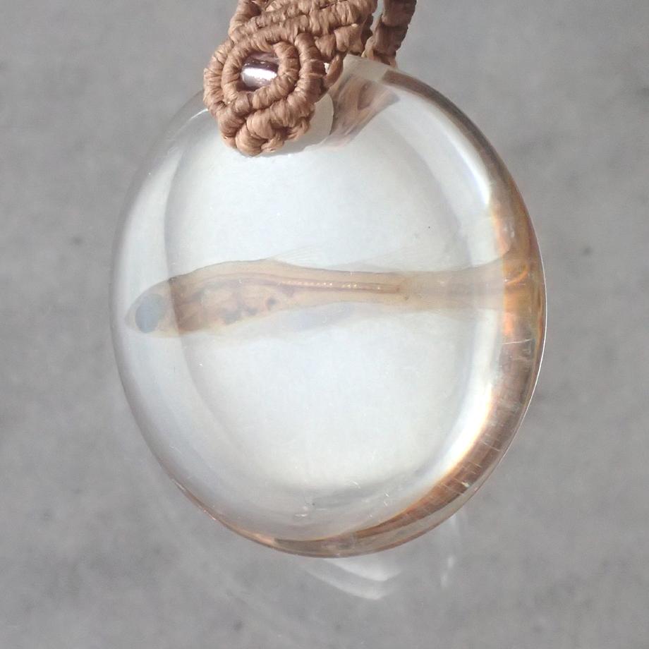 魚類樹脂封入標本キーホルダー | 9枚目