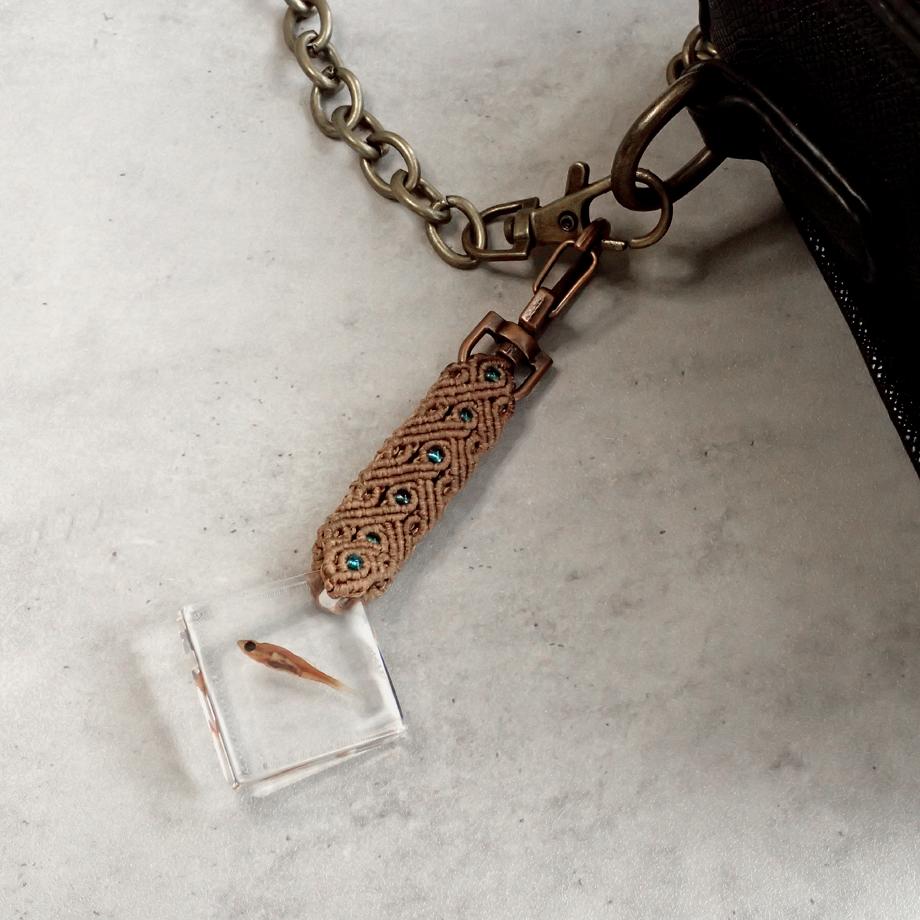 魚類樹脂封入標本キーホルダー | 6枚目