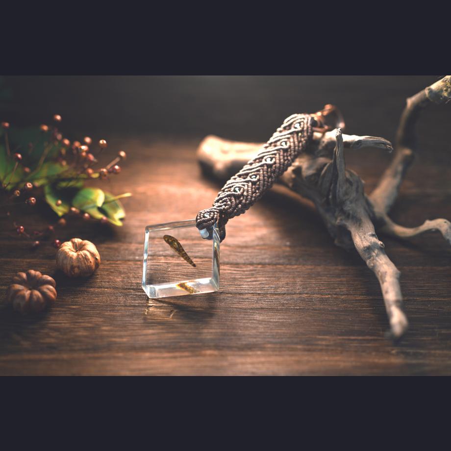 魚類樹脂封入標本キーホルダー | 7枚目