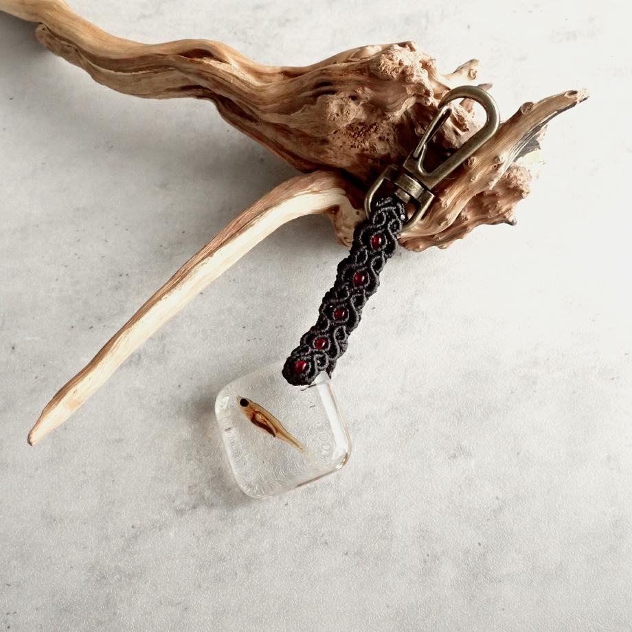 魚類樹脂封入標本キーホルダー1枚目の画像