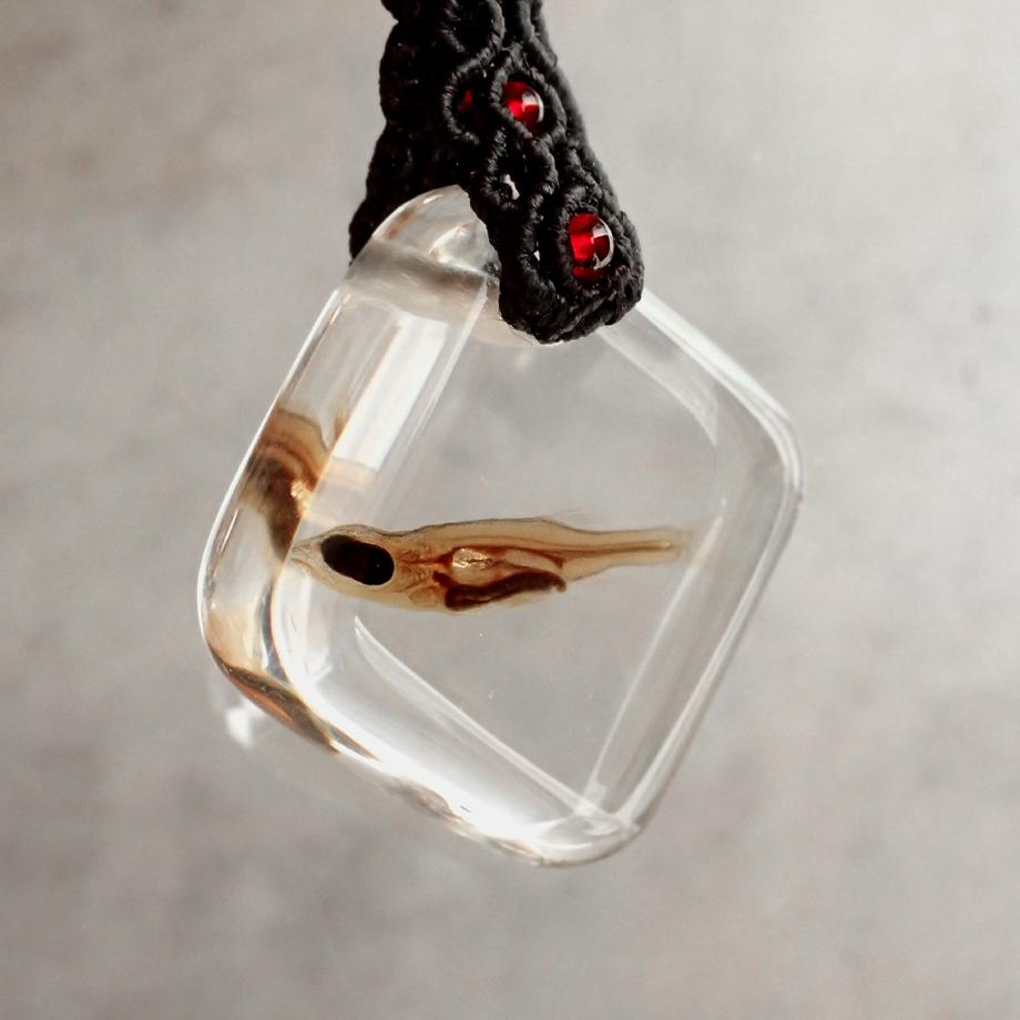 魚類樹脂封入標本キーホルダー | 3枚目