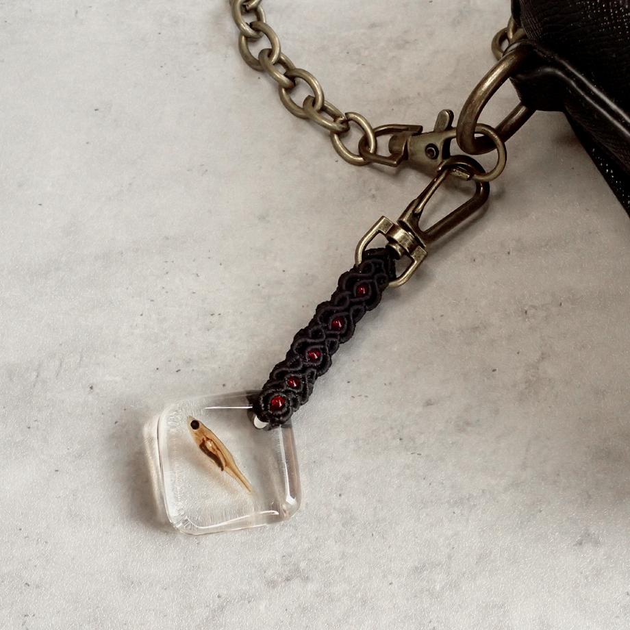 魚類樹脂封入標本キーホルダー | 6枚目