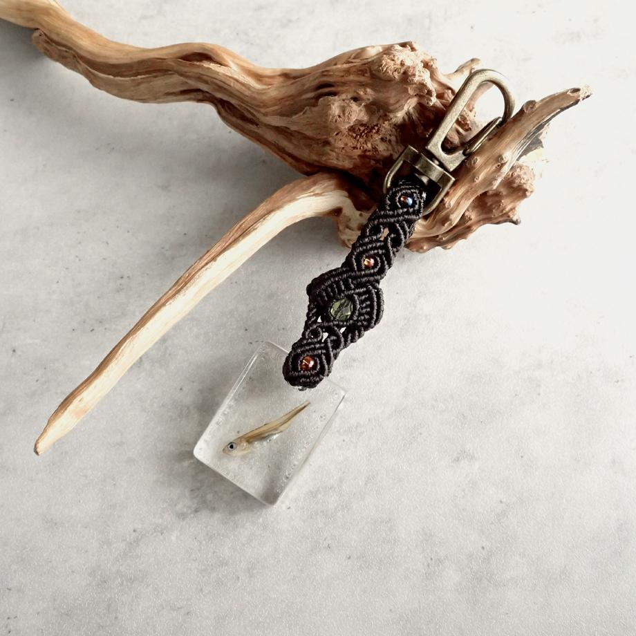 魚類樹脂封入標本キーホルダー1枚目の画像