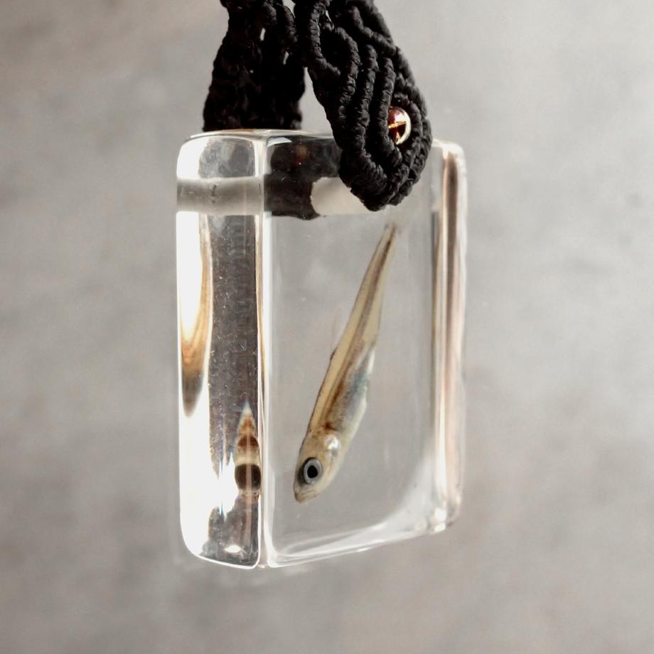 魚類樹脂封入標本キーホルダー | 3枚目