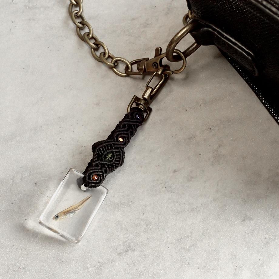 魚類樹脂封入標本キーホルダー | 6枚目