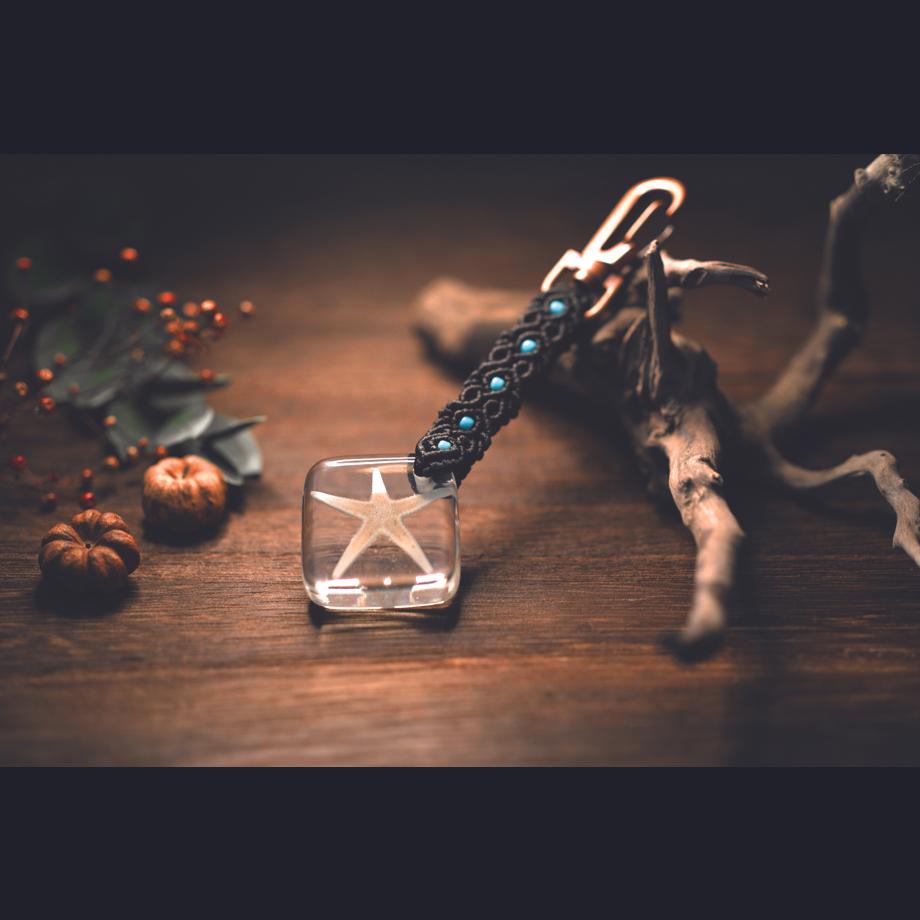 ヒトデ類樹脂封入標本キーホルダー | 7枚目