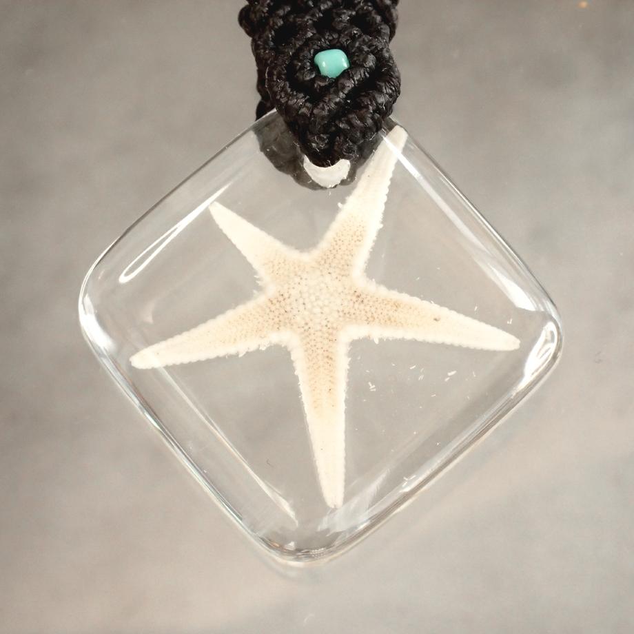 ヒトデ類樹脂封入標本キーホルダー | 2枚目