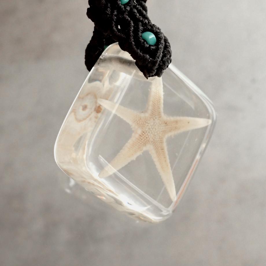 ヒトデ類樹脂封入標本キーホルダー | 3枚目