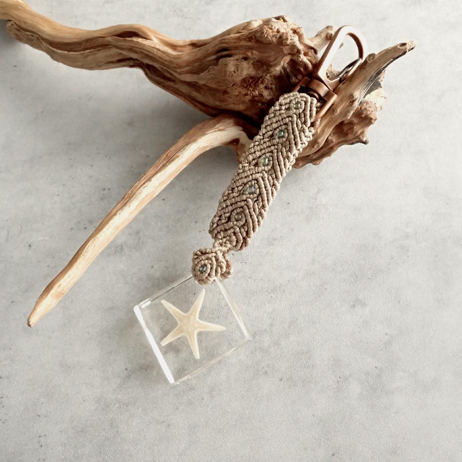 ヒトデ類樹脂封入標本キーホルダー | 5枚目