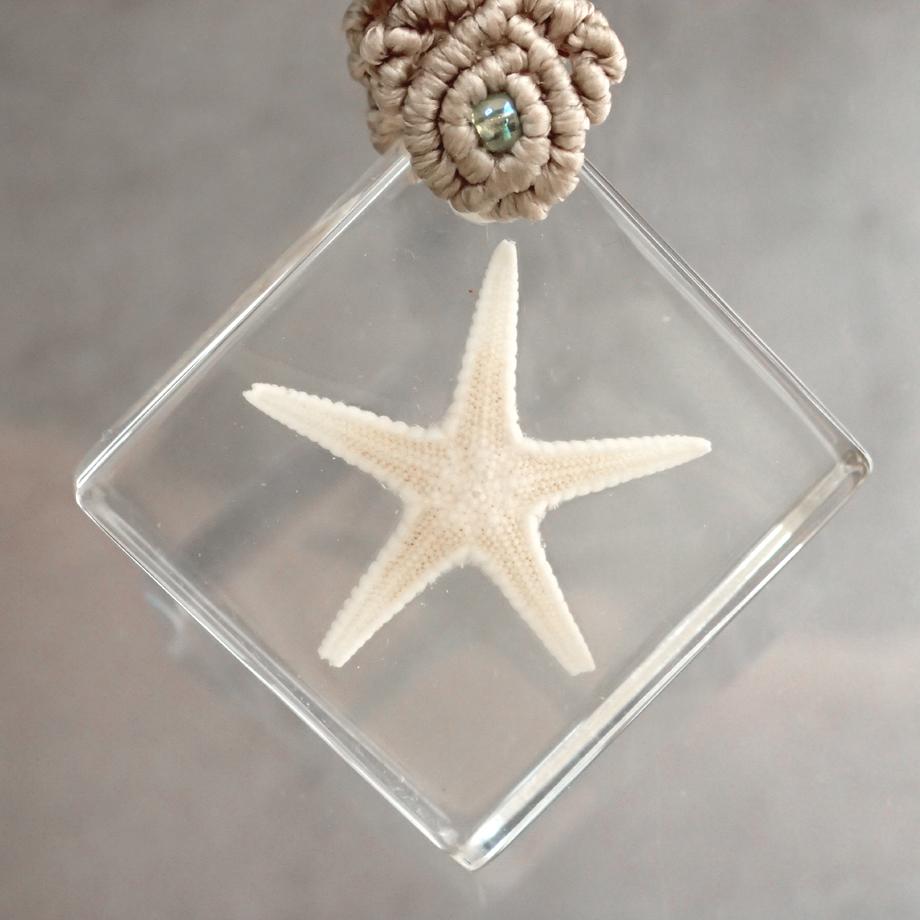 ヒトデ類樹脂封入標本キーホルダー | 6枚目