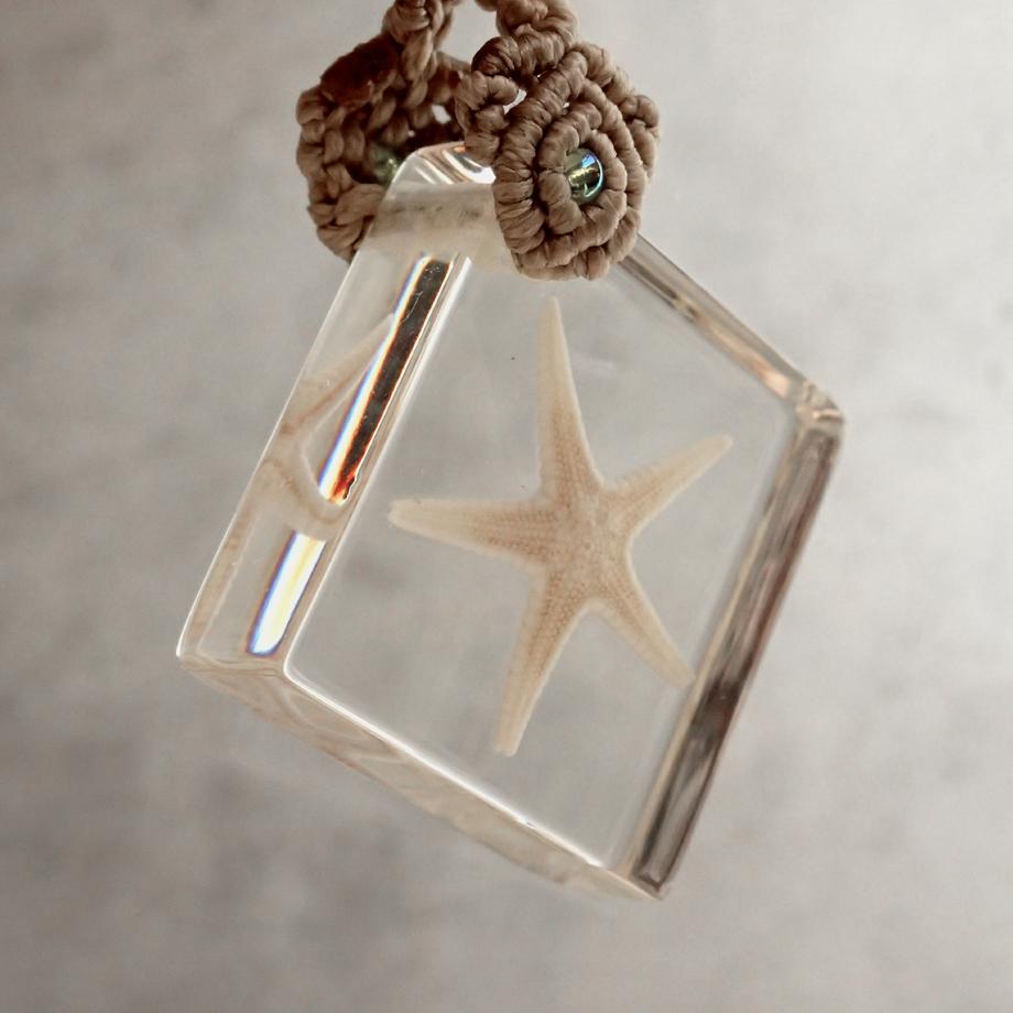 ヒトデ類樹脂封入標本キーホルダー | 7枚目