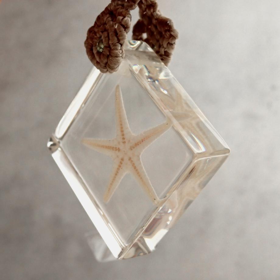 ヒトデ類樹脂封入標本キーホルダー | 8枚目