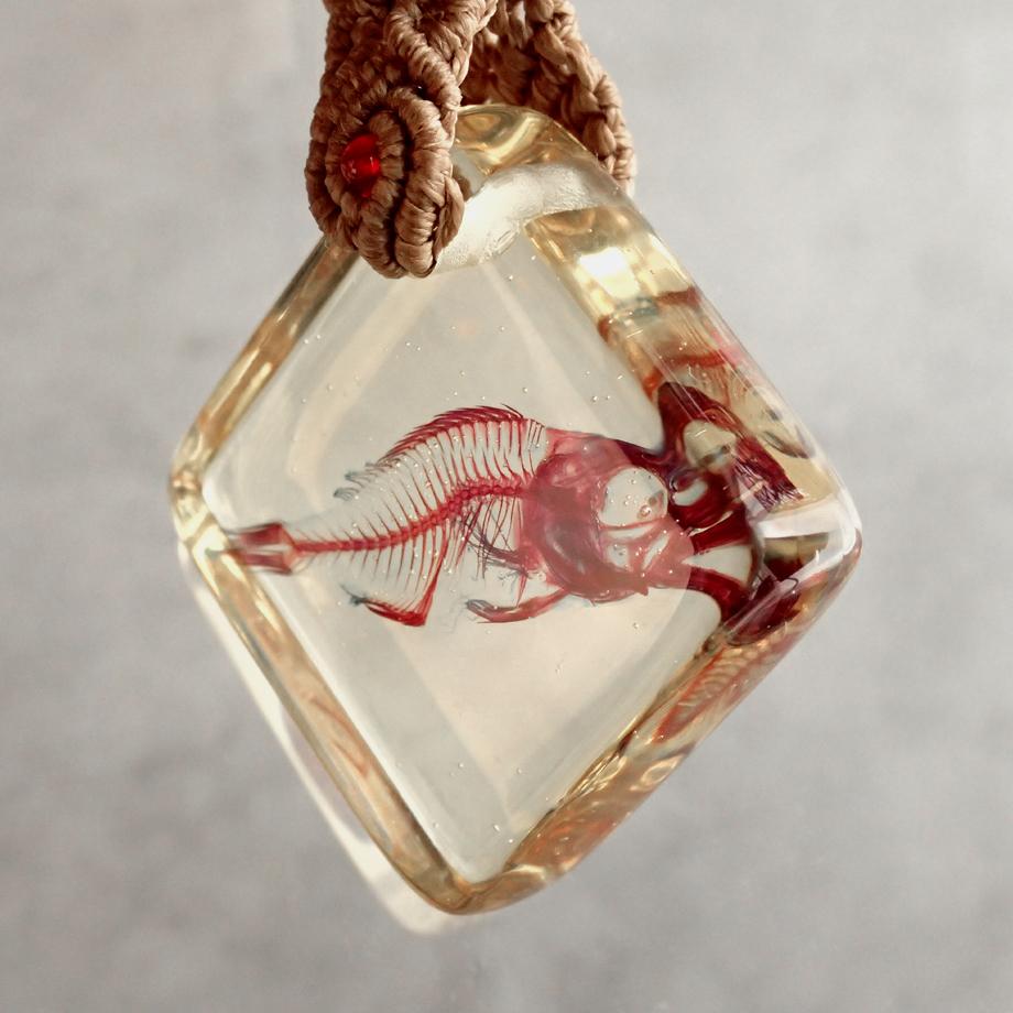 魚類単色染色樹脂封入標本キーホルダー | 8枚目