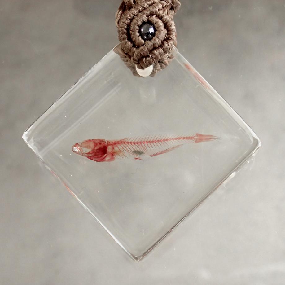 魚類単色染色樹脂封入標本キーホルダー | 6枚目