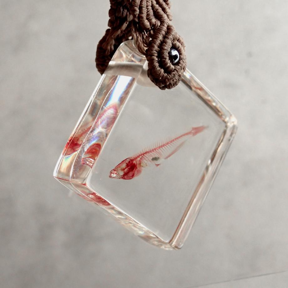魚類単色染色樹脂封入標本キーホルダー | 7枚目