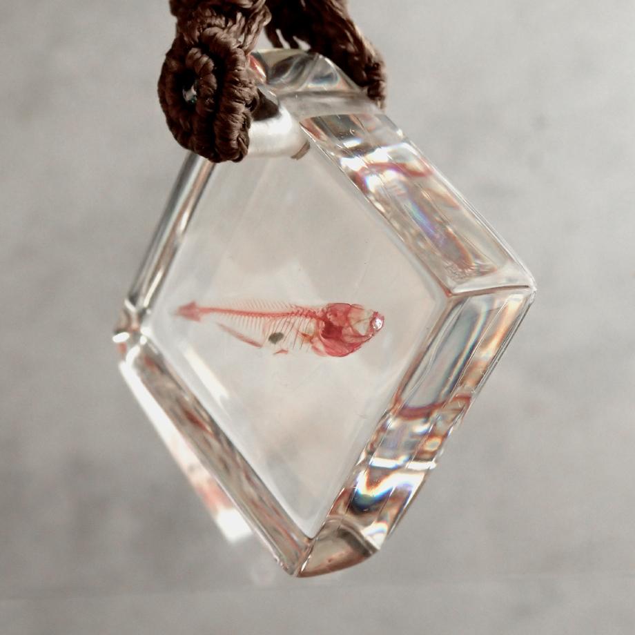 魚類単色染色樹脂封入標本キーホルダー | 8枚目