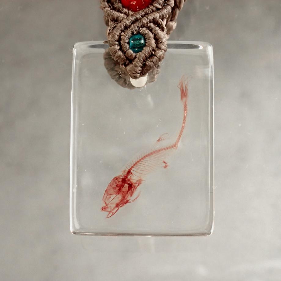 魚類単色染色樹脂封入標本キーホルダー | 2枚目