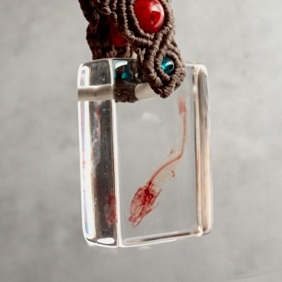 魚類単色染色樹脂封入標本キーホルダー | 3枚目