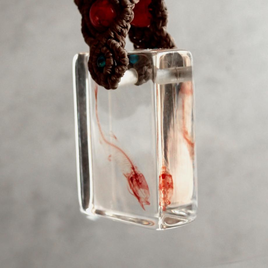 魚類単色染色樹脂封入標本キーホルダー | 4枚目